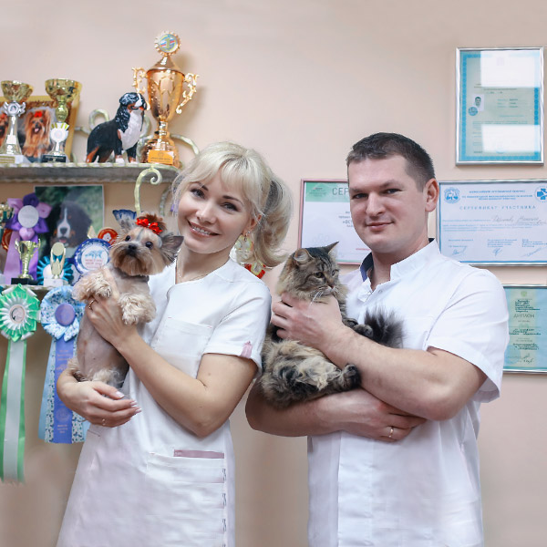 Семейный доктор – клиника ветеринарной медицины